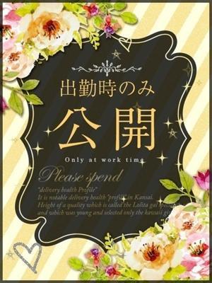 一条 きほ