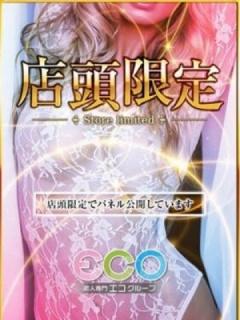 キティ