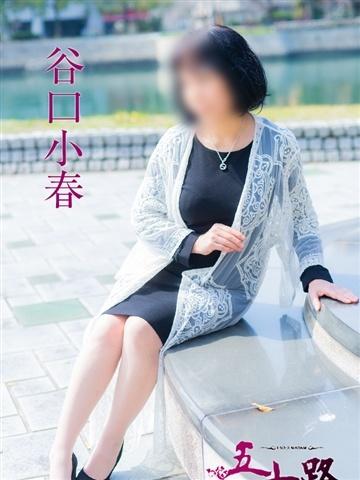 谷口小春 (Koharu)